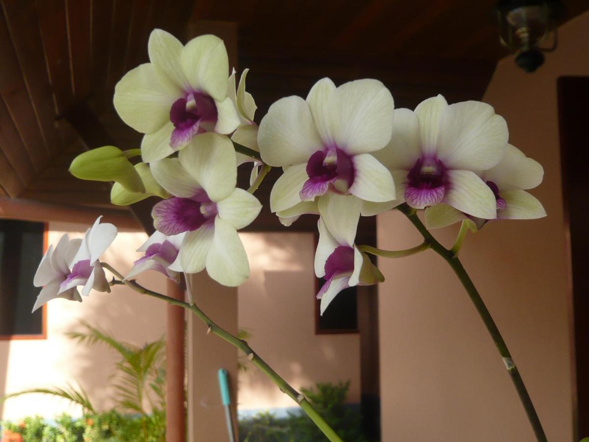 The Pace Phuket Boutique Resort Rawai Luaran gambar