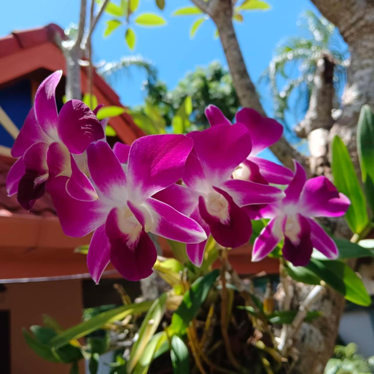 The Pace Phuket Boutique Resort Rawai Luaran gambar